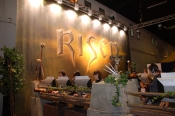 1463_risen-show-role-play-convention-2009 (35).JPG